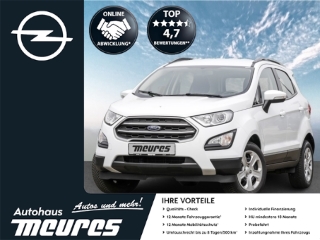 Ford EcoSport Trend 1.0 EcoBoost LENKRADHEIZUNG PDC USB
