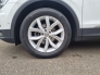 Volkswagen Tiguan  Comfortline 4Motion 1.4 TSI DSG LED Standheizung Kurvenlicht Parklenkass. Rückfahrkam.