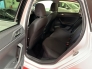 Volkswagen Polo  United 1.0 TSI DSG ACC Climatronic Sitzheizung