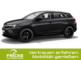 Opel Grandland GS Mild-Hybrid+Automatik+Rückfahrkam.+Navi+Alcantara Bild 1